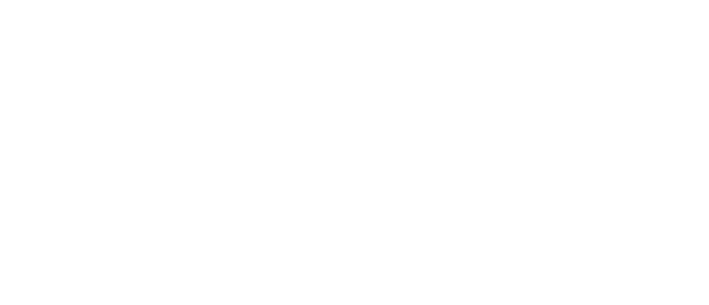 IBMA - Logotipo IBMA ES blanco