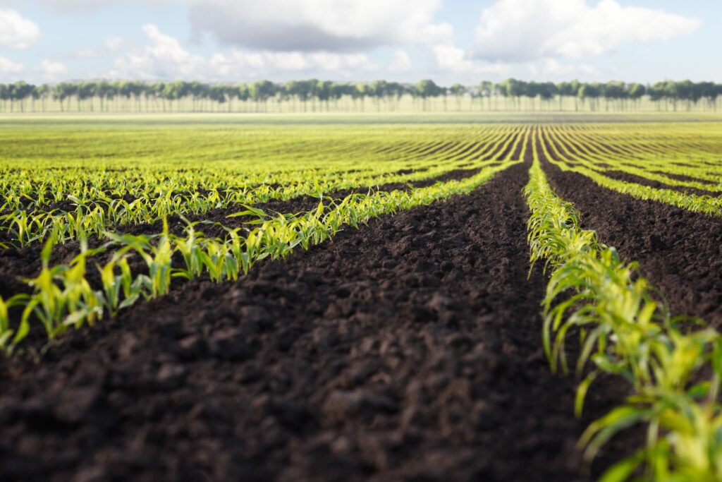 Biocontrol: Un Impulso Económico Sostenible en la Agricultura Española