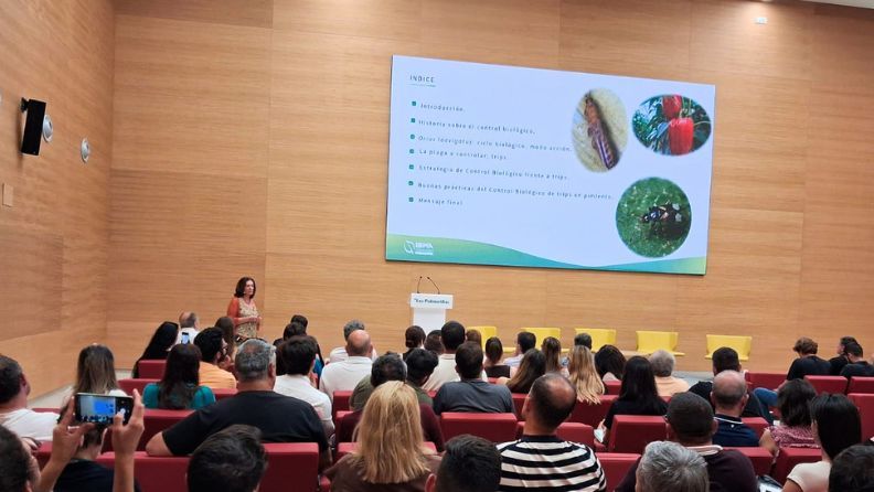 Una mujer presenta una charla ante una audiencia sentada en un auditorio con pantalla.